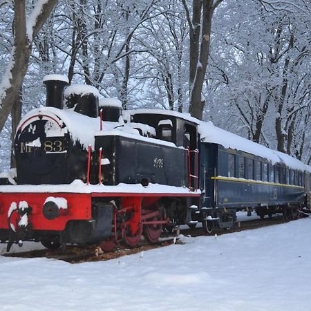 Le Train Des Reves Otel Dracy-Saint-Loup Dış mekan fotoğraf